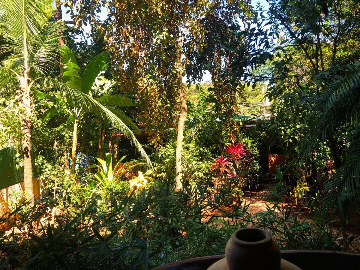 Casa Smilin' Dog Apartment Tamarindo Exterior foto