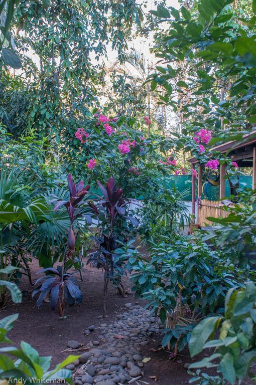 Casa Smilin' Dog Apartment Tamarindo Cameră foto