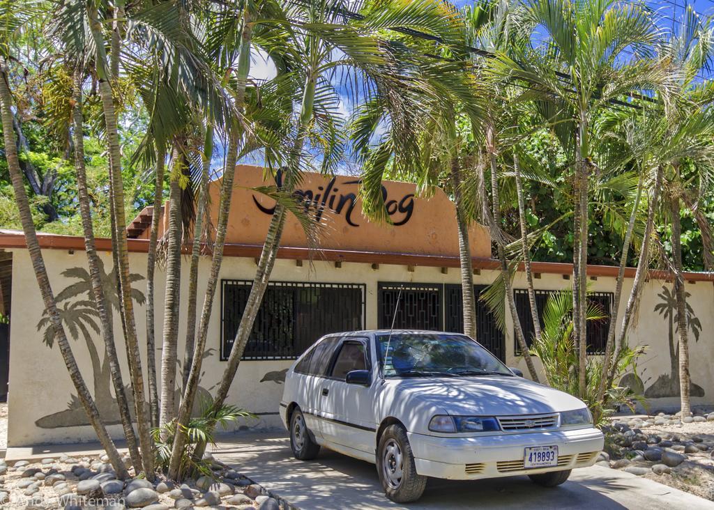 Casa Smilin' Dog Apartment Tamarindo Exterior foto