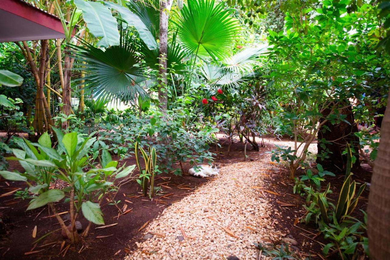 Casa Smilin' Dog Apartment Tamarindo Exterior foto